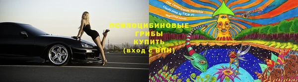 стаф Балахна