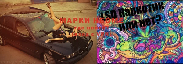 ALPHA PVP Баксан