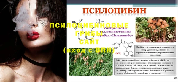 мдпв Балабаново