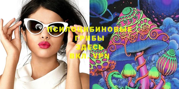 стаф Балахна