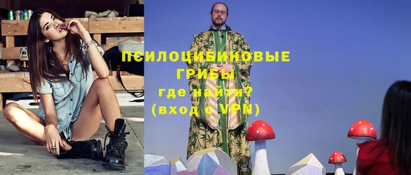стаф Балахна