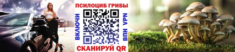 Псилоцибиновые грибы GOLDEN TEACHER  Заозёрный 